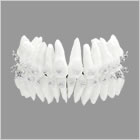 �V���t�H�j�[/�f�W�^���Z�b�g�A�b�v